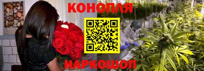 ALPHA PVP Гусев
