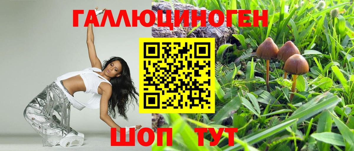 Псилоцибиновые грибы ЛСД Малгобек