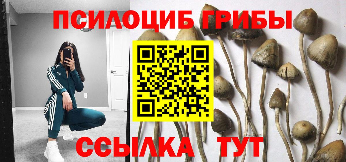 Галлюциногенные грибы мухоморы  Вход с VPN  купить   Малгобек 