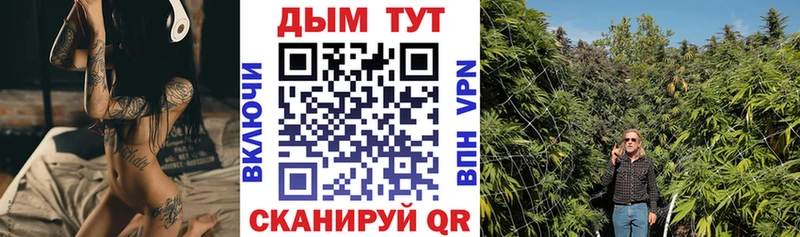 Канабис гибрид  МЕГА ONION  Малгобек 